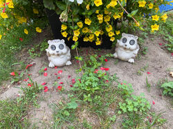 BED0F572-E82F-4FF3-AC39-8886F39F46AD