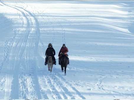 of timeless resilience and quiet mastery on the winter steppe.