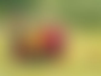 The "Sophisticated Nomad" Cheat Sheet: 5 Things to Know Before You Land