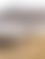 Mongolia Welcomes 21,066 Tourists This Month: A Strong Start to 2026