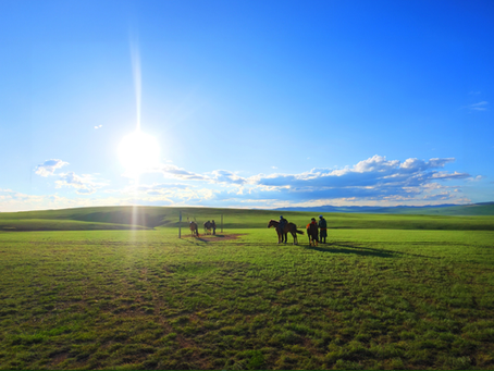 Wild & Safe: How to Deal with Summer Bugs in Mongolia