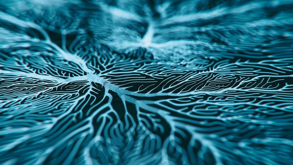br1.jpg
