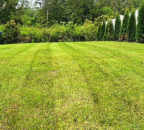 Untitled design(7).png