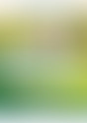 Stowarzyszenie Unia Nadwarciańska zaprasza na rajd rowerowy wokół Jeziora Powidzkiego