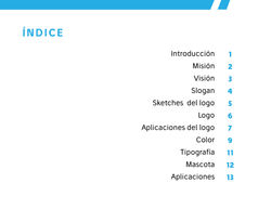 ampl MANUAL-02