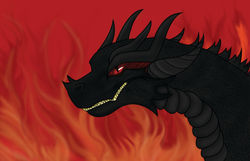 Black Salamander