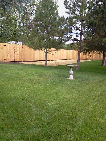 2012-06-19 11.29.10.jpg