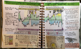 Montly Weather and Climate Graphs
