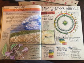 Monthly Fire Weather Tracking