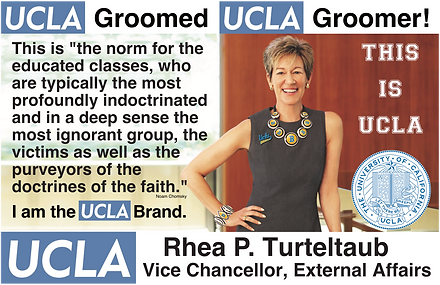 UCLA Vice Chancellor, External Affairs: Rhea Turteltaub