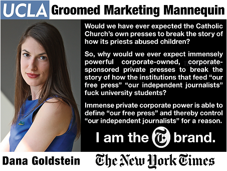 Dana Goldstein; NYT (3).png