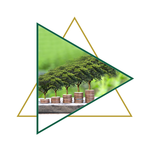 b29282_dc1070dde73e41f0831f08d64d53a016~mv2.png
