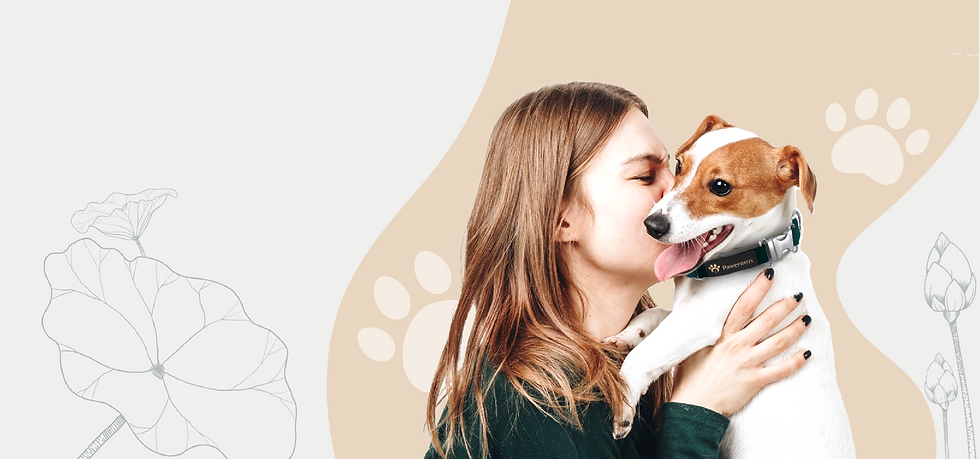 Banner_web_notext_Product Portfolio-4 copy.png