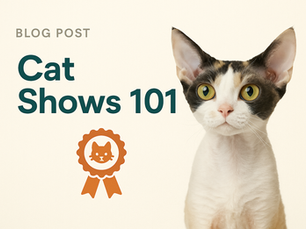 Cat show