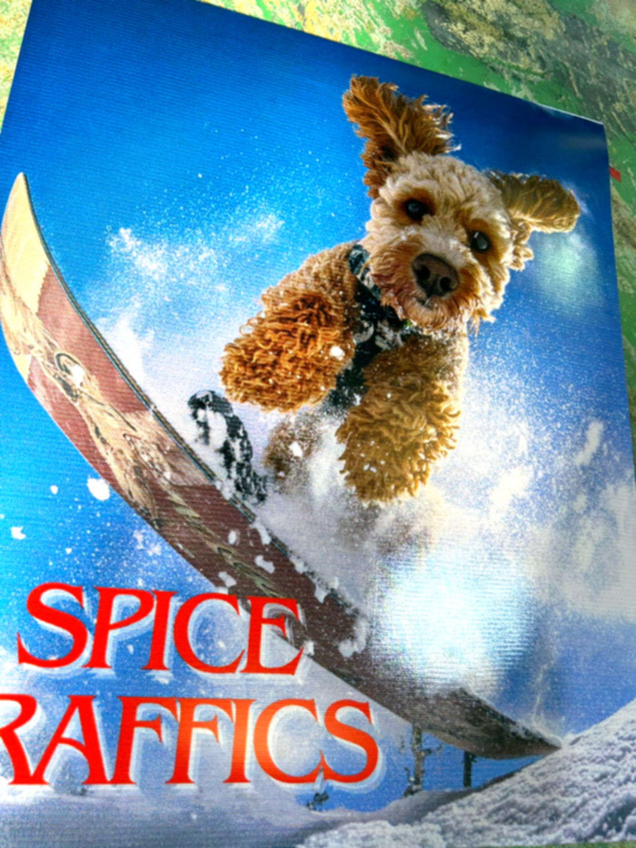 オリジナルデザイン泥よけ　デコマット（2枚1組）