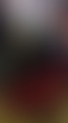 司牡丹から限定の『船中八策』入荷