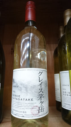 グレイス茅ヶ岳 甲州