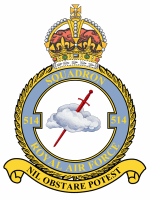 100_Squadron_RAF_crest.png