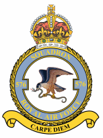 100_Squadron_RAF_crest.png