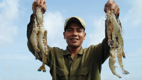 Mengapa IPAL Menjadi Kebutuhan Penting pada Budidaya Udang Modern
