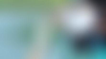 Restocking Ikan di Danau Toba, Upaya Pemkab Simalungun Menekan Populasi Red Devil