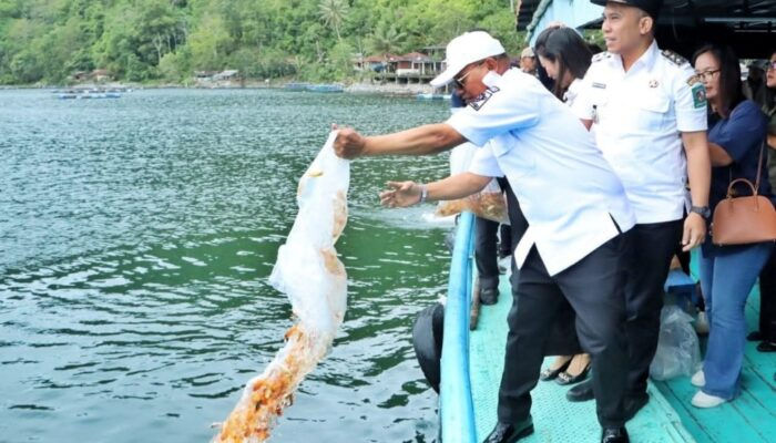 Restocking Ikan di Danau Toba, Upaya Pemkab Simalungun Menekan Populasi Red Devil
