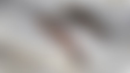 5 Ikan yang Baik Untuk Kesehatan Otak