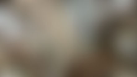 Produksi Udang Nasional Tidak Hanya Berasal dari Budidaya