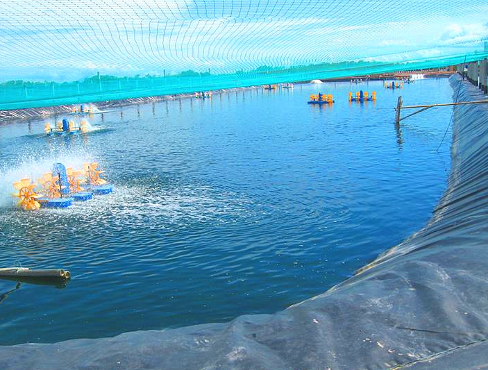 Pengaruh Suhu Air Terhadap Kecepatan Pertumbuhan Alga