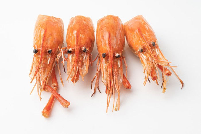 Kandungan Nutrisi dan Manfaat Kepala Udang Untuk Kesehatan