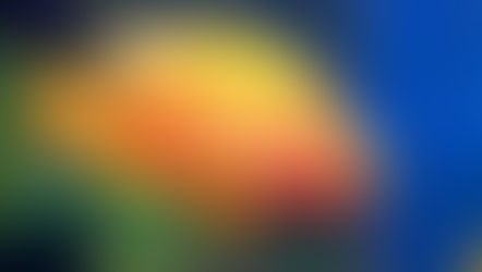 5 Fakta Ikan Red Devil yang Menjajah Danau Toba