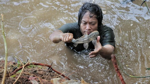 Pakar Ungkap Strategi Untuk Mengtasi Invasi Ikan Sapu-Sapu di Sungai Jakarta