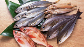 Memahami Faktor-Faktor yang Mempengaruhi Tingkat Konsumsi Ikan di Indonesia