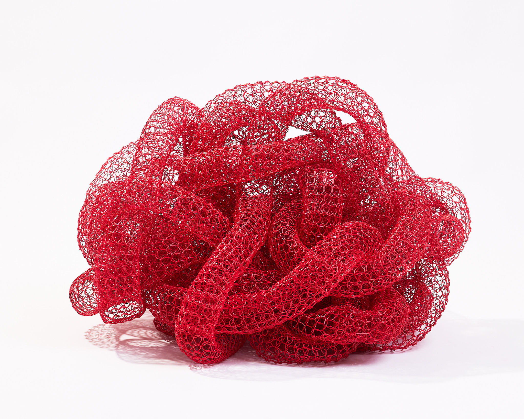 Jasmine Bruce "Red Knot III"