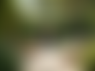 Luxury Home Management: Elevate Your Estate Experience