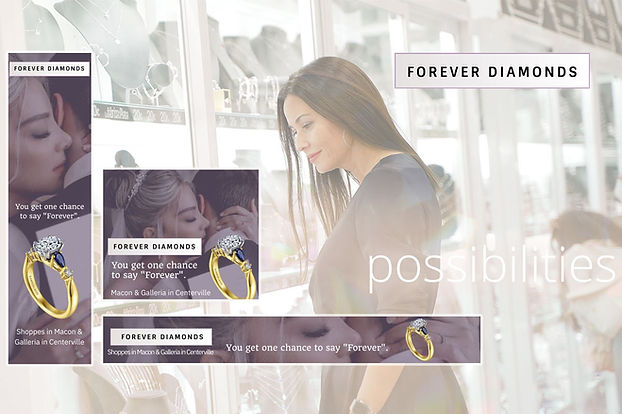 The Creative Hippo - Digital Display Ad