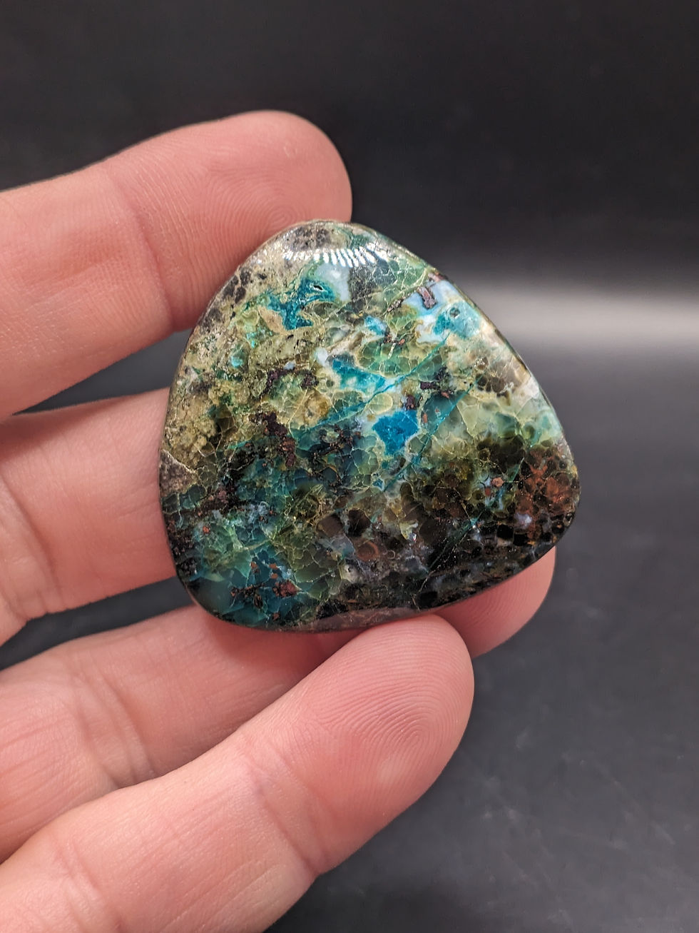 Plume Opalized Petrified Wood Cabochon