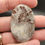 Thumbnail: Laguna Lace Agate Cabochon  Oval
