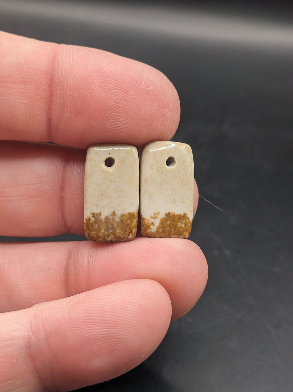Picture Jasper Cabochon Pair Drilled
