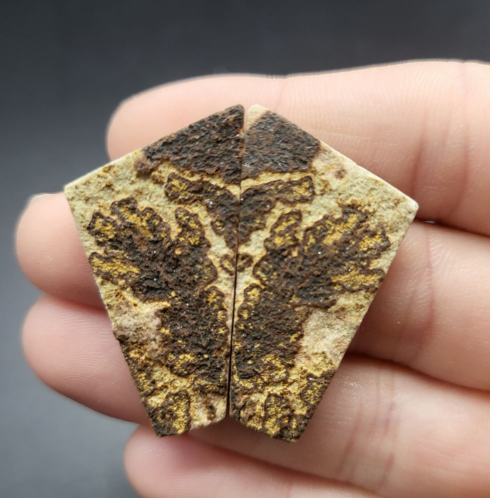 Psilomelane Dendrite Cabochon Pair Freeform