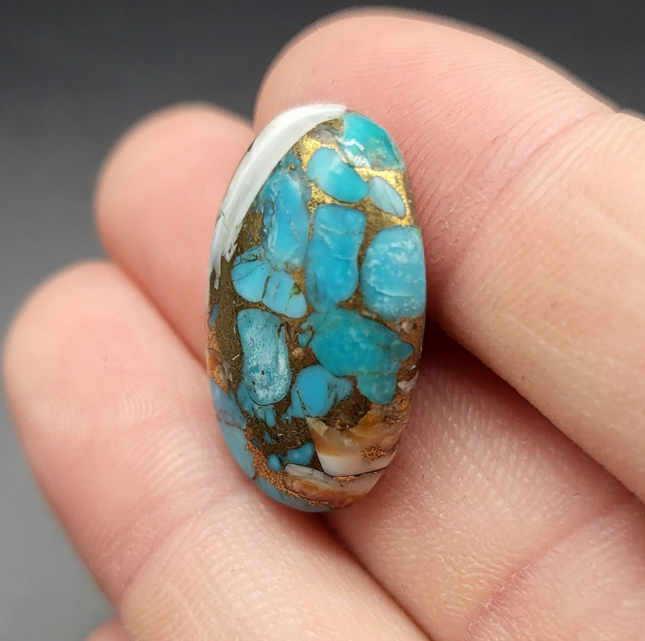 Spiny Oyster Turquoise Cabochon Oval