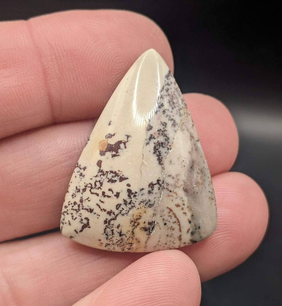 Picture Jasper Cabochon Triangle