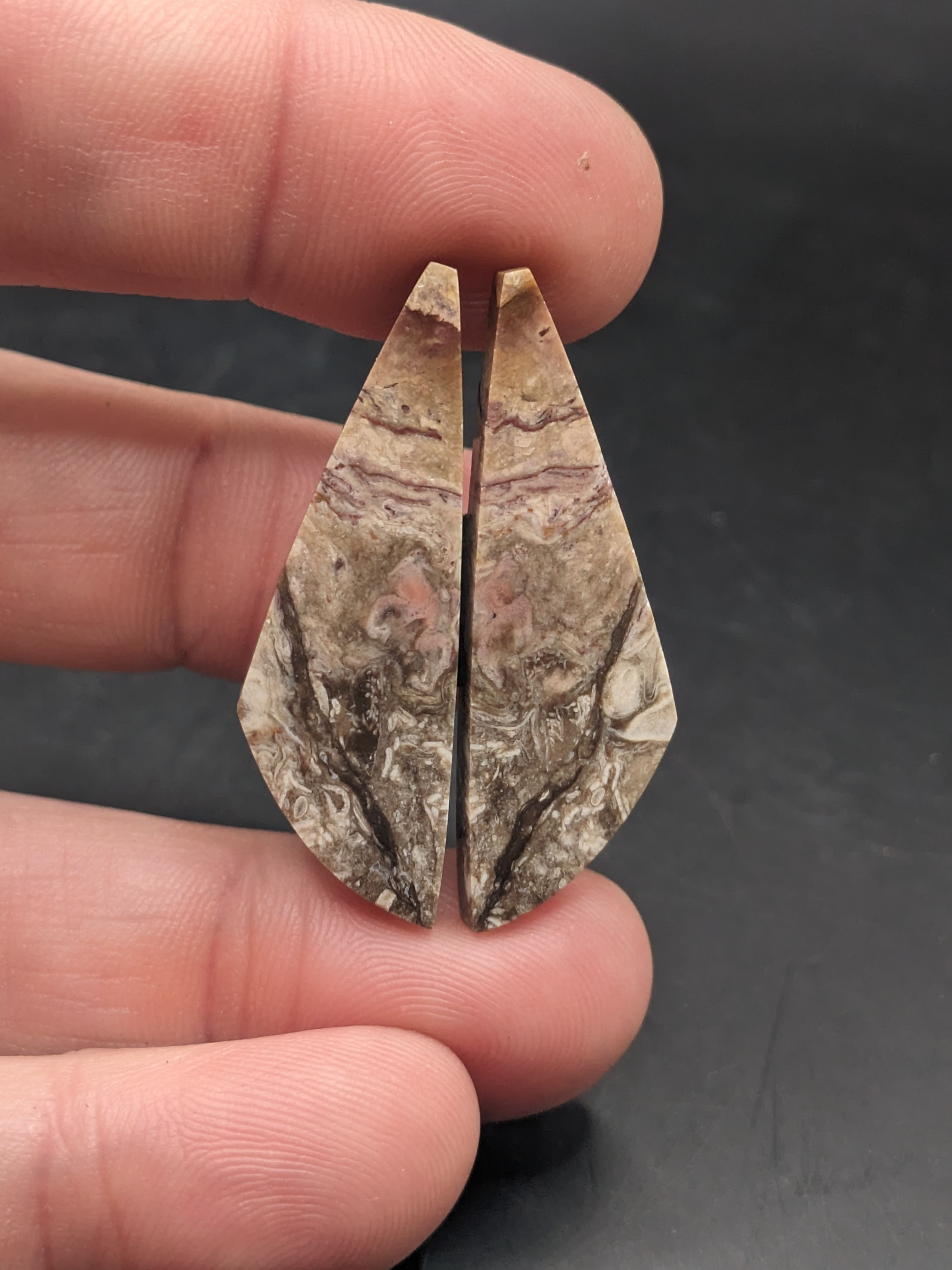 Petrified Wood Cabochon Pair