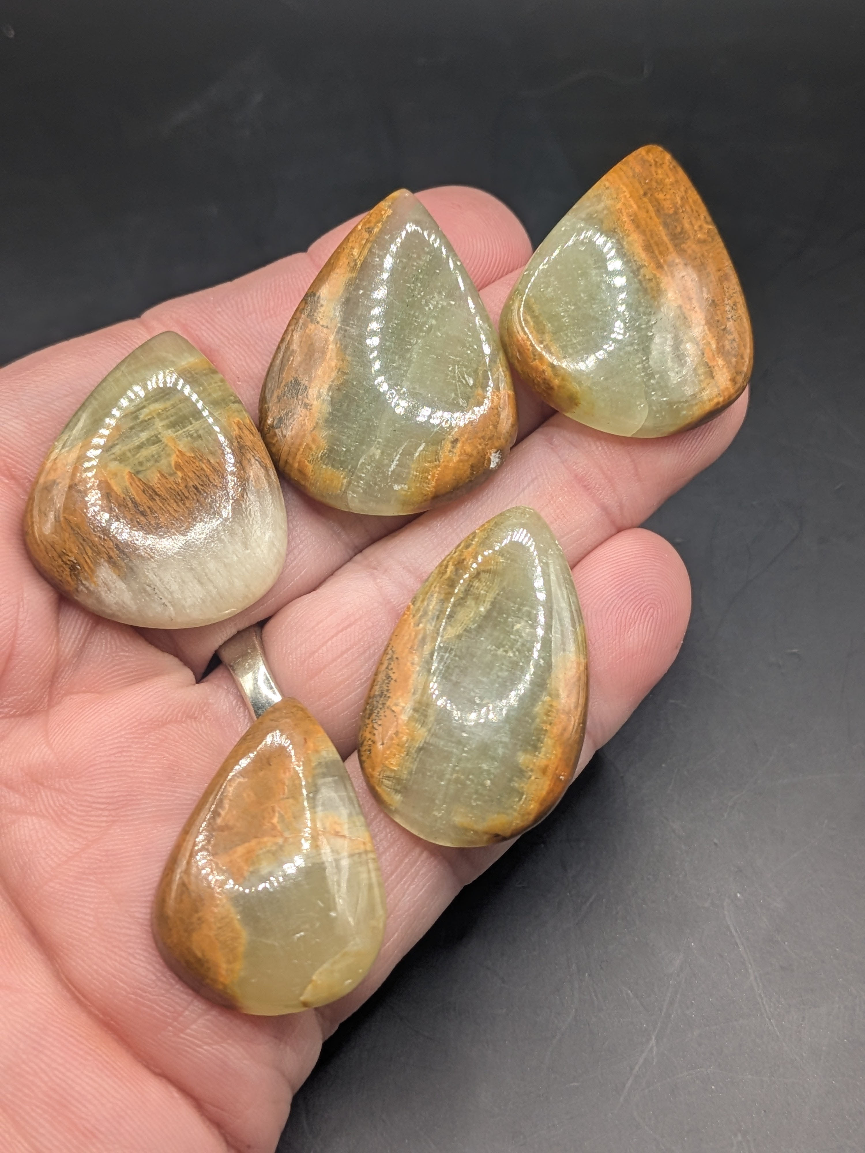 5 Pc Tiger Bee Cabochon Lot