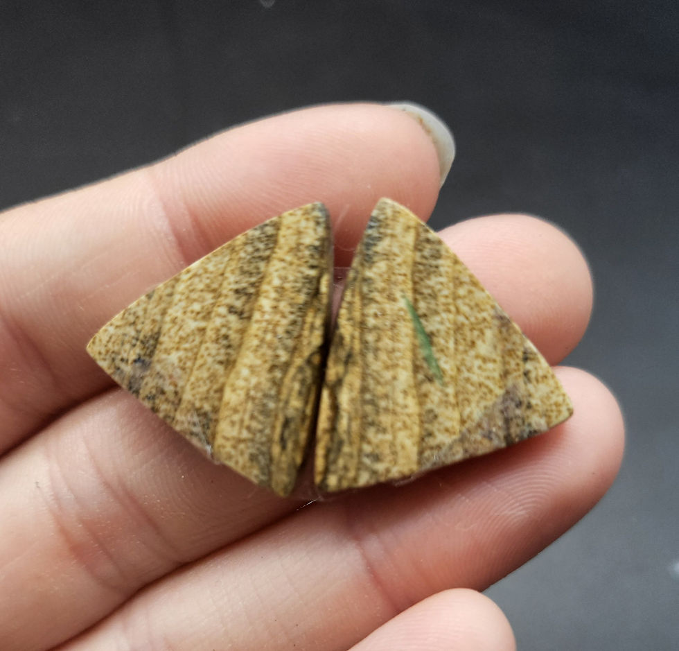 Picture Jasper Cabochon Pair Triangle