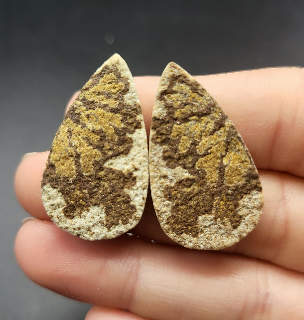 Psilomelane Dendrite Cabochon Pair Teardrop
