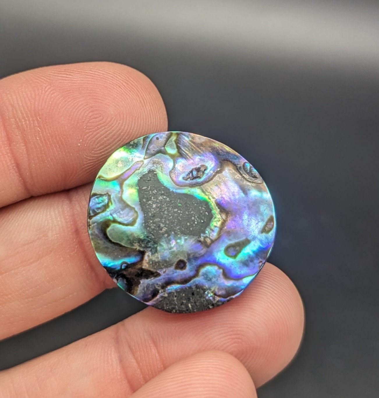 Abalone Cabochon Circle/Round