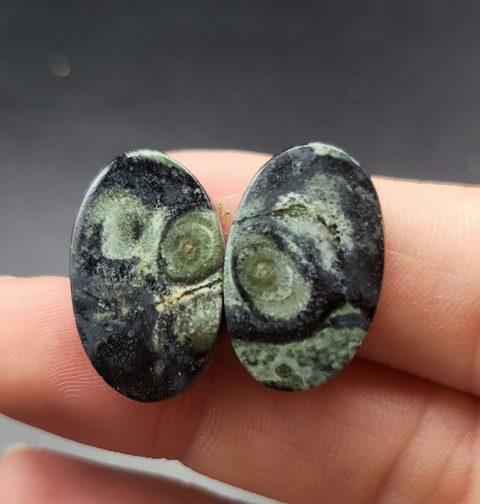Kambaba Jasper AKA Star Galaxy Cabochon Pair Oval