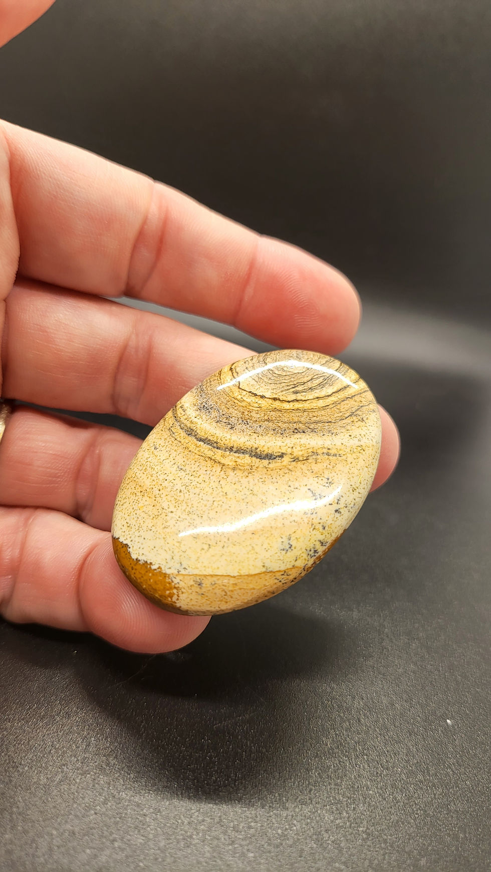 Picture Jasper Cabochon Oval