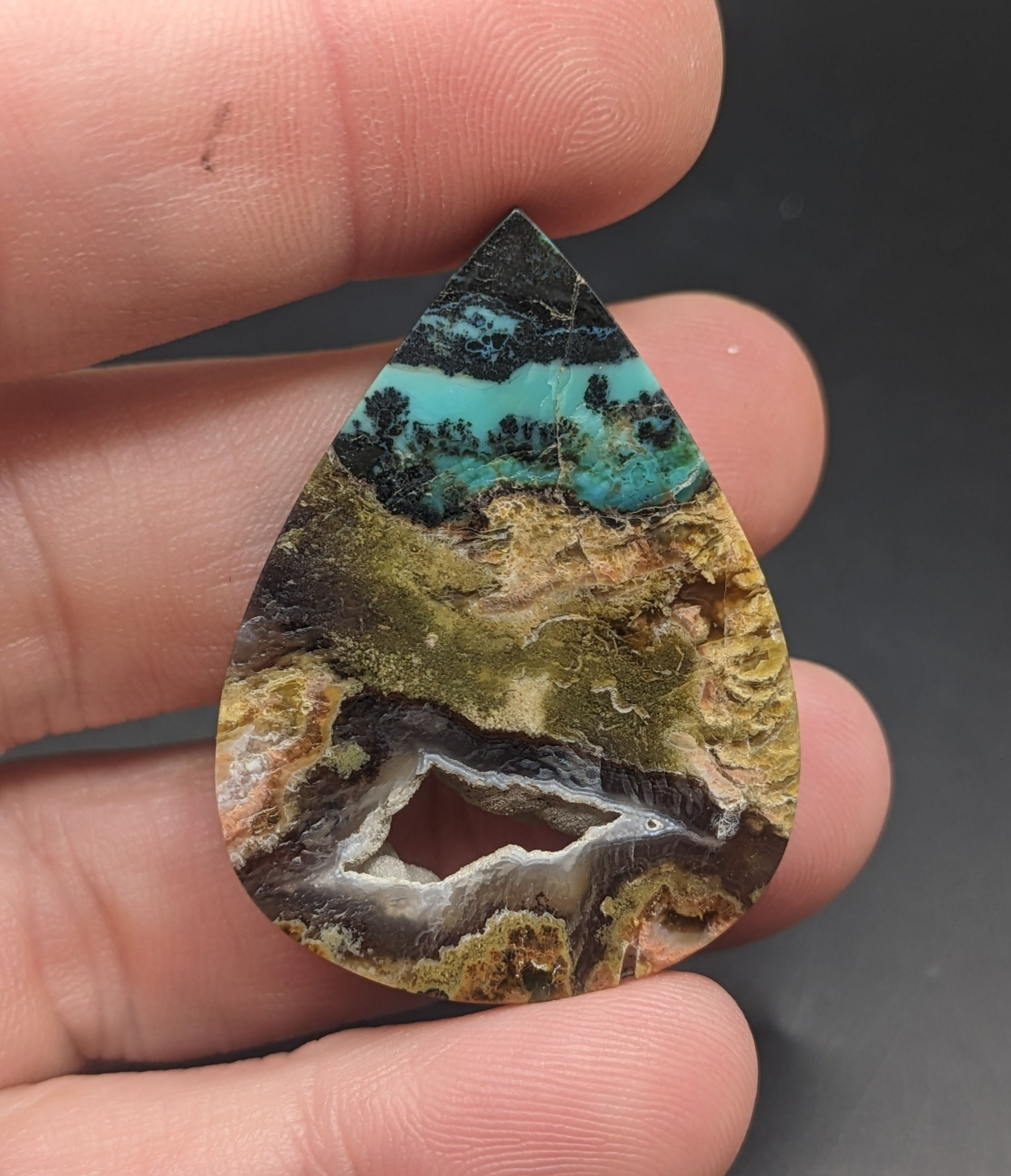 Opalized Wood  Cabochon Teardrop